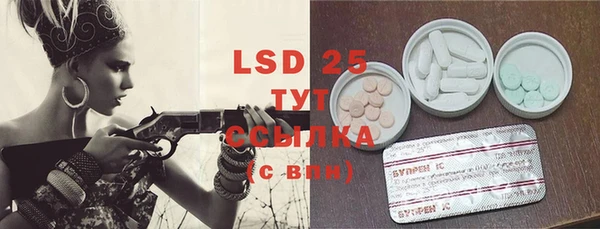 PSILOCYBIN Балахна