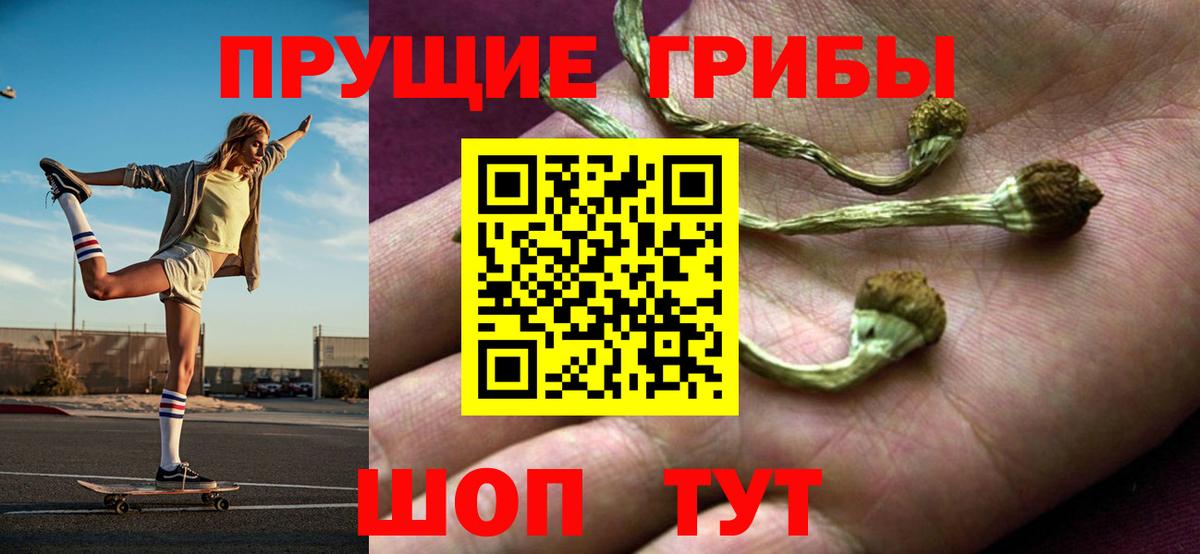 Галлюциногенные грибы мухоморы Верхняя Салда