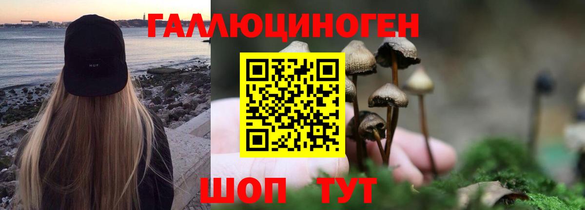 Галлюциногенные грибы Cubensis  Вход с VPN  Галлюциногенные грибы Cubensis  Верхняя Салда 